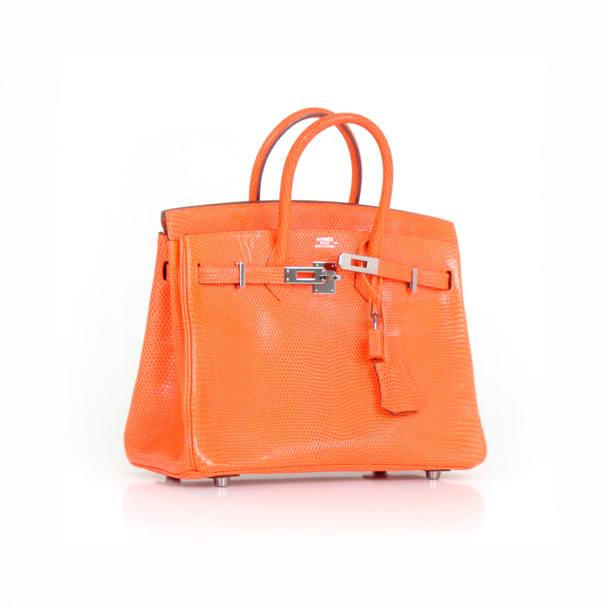 Hermès Birkin 25 Bag Orange Lizard Leather | CBL BAGS