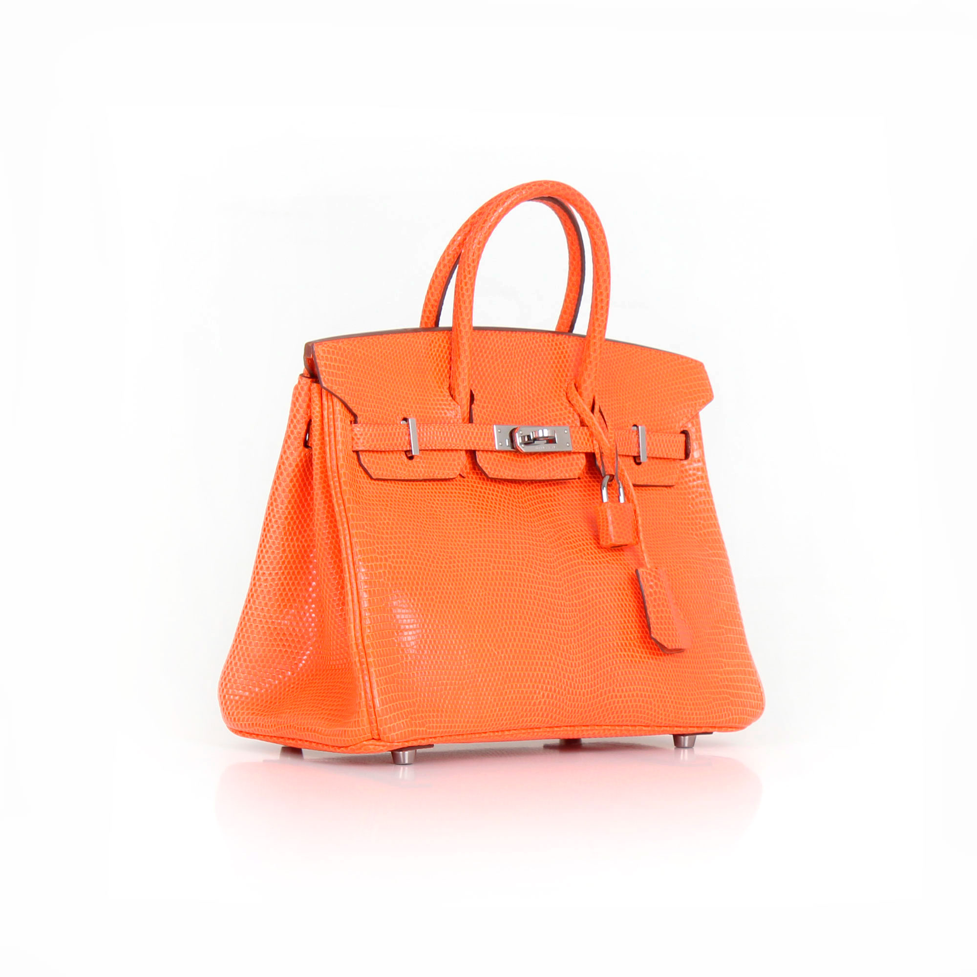 Bolso Hermès Birkin Piel de Lagarto Naranja | CBL BAGS
