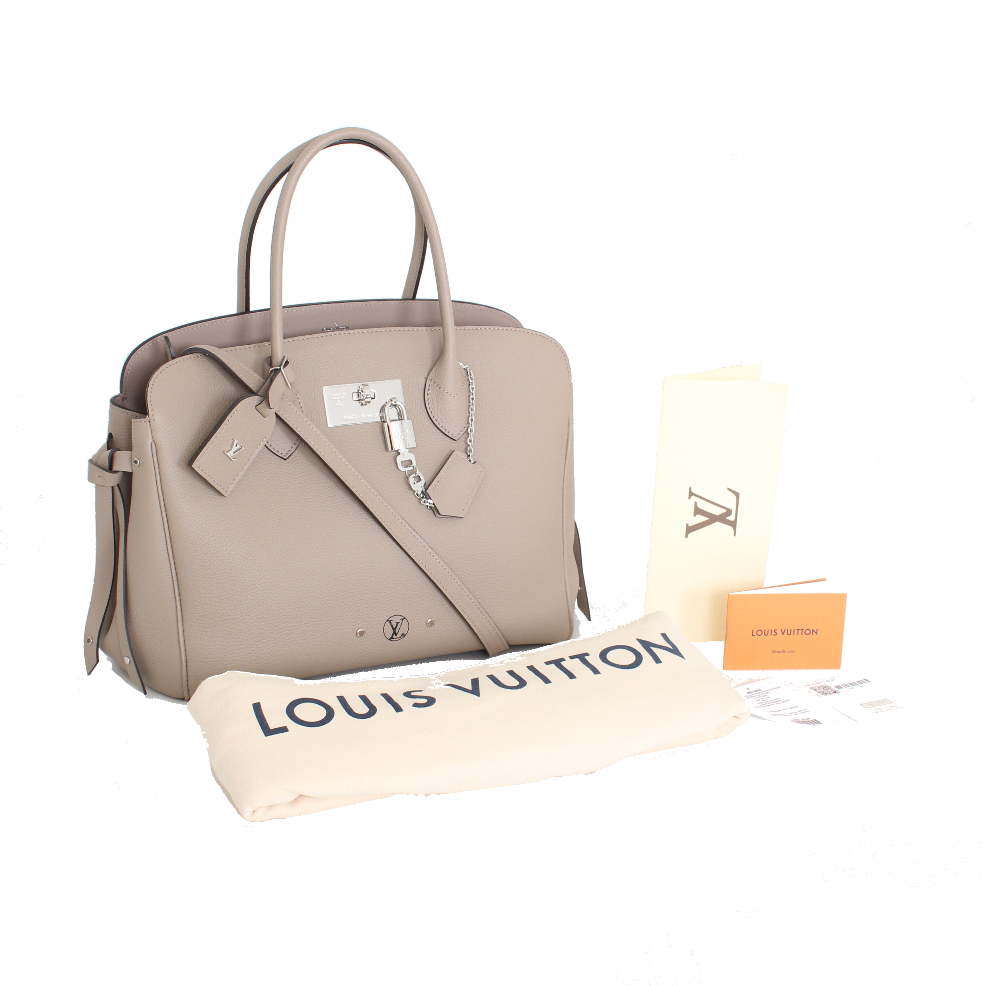 Louis Vuitton Bag | CBL Bags